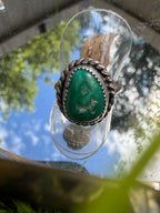 sonoran ring