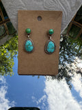 Sonoran stud dangly earrings