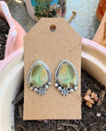 Montezuma Royston studs