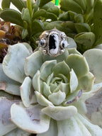 White buffalo ring