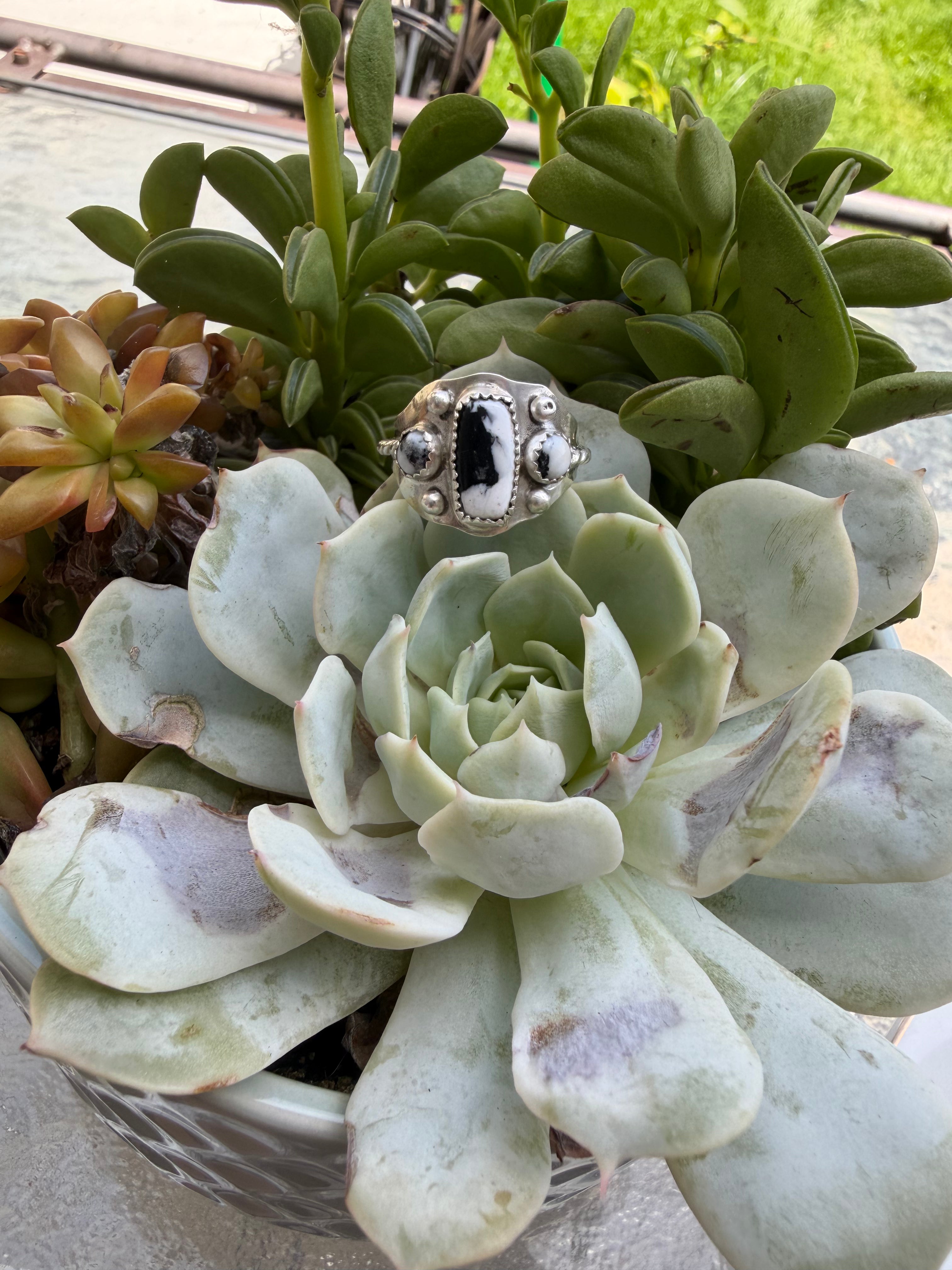 White buffalo ring