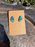 Kingman turquoise stud earrings